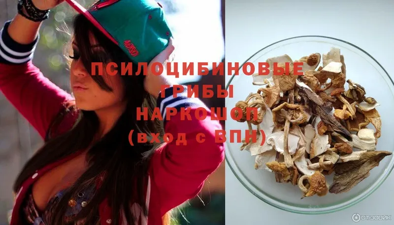 Псилоцибиновые грибы Magic Shrooms  где продают   Кимовск 